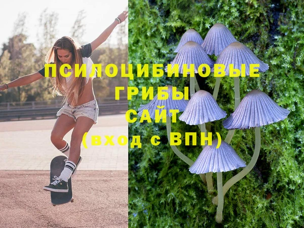 сатива Нея