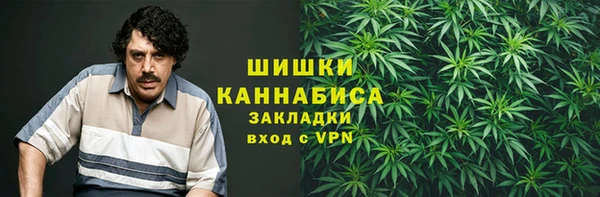 сатива Нея