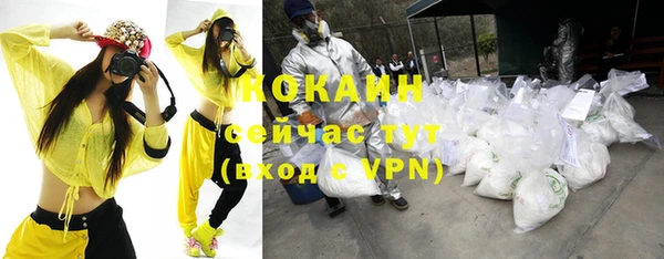 сатива Нея