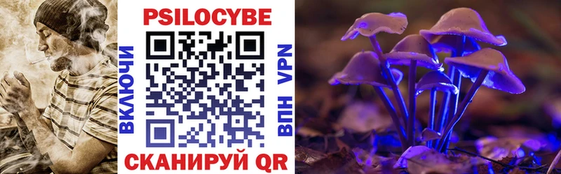 дарк нет телеграм  Димитровград  Галлюциногенные грибы Cubensis 